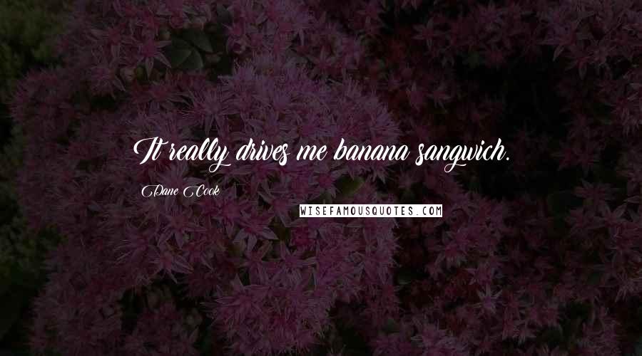 Dane Cook Quotes: It really drives me banana sangwich.