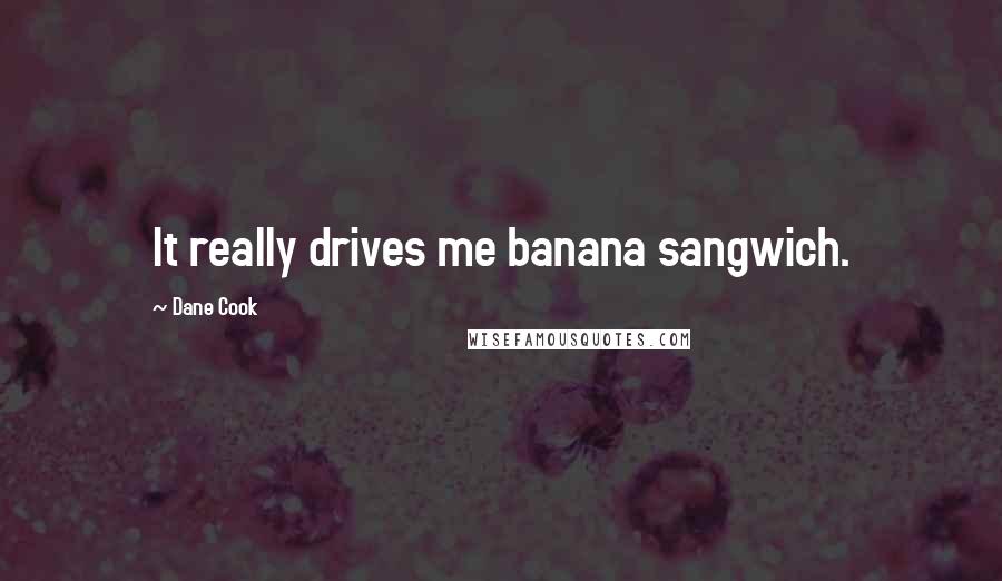 Dane Cook Quotes: It really drives me banana sangwich.