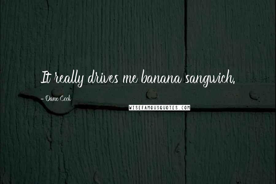 Dane Cook Quotes: It really drives me banana sangwich.