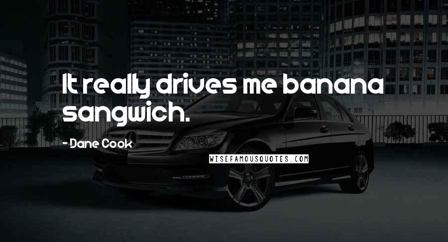 Dane Cook Quotes: It really drives me banana sangwich.