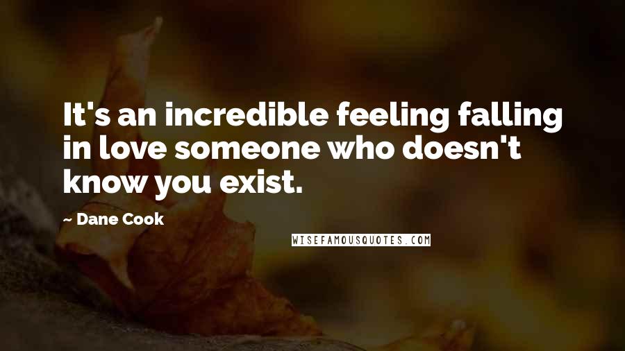 Dane Cook Quotes: It's an incredible feeling falling in love someone who doesn't know you exist.