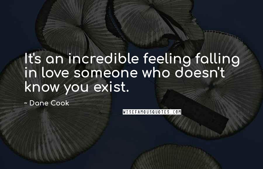 Dane Cook Quotes: It's an incredible feeling falling in love someone who doesn't know you exist.