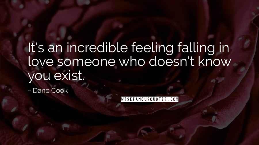 Dane Cook Quotes: It's an incredible feeling falling in love someone who doesn't know you exist.