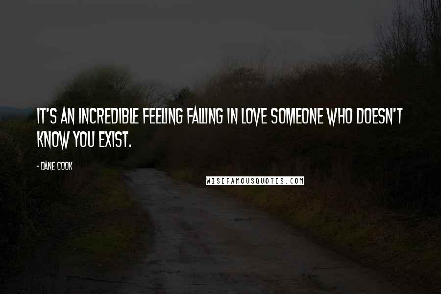 Dane Cook Quotes: It's an incredible feeling falling in love someone who doesn't know you exist.