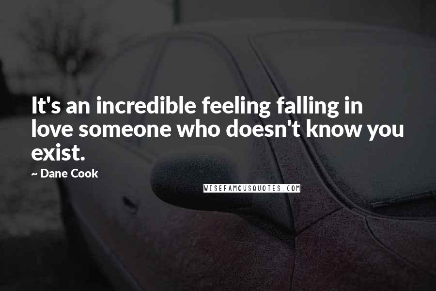 Dane Cook Quotes: It's an incredible feeling falling in love someone who doesn't know you exist.