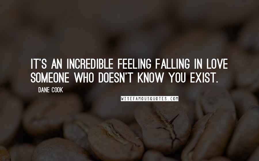 Dane Cook Quotes: It's an incredible feeling falling in love someone who doesn't know you exist.