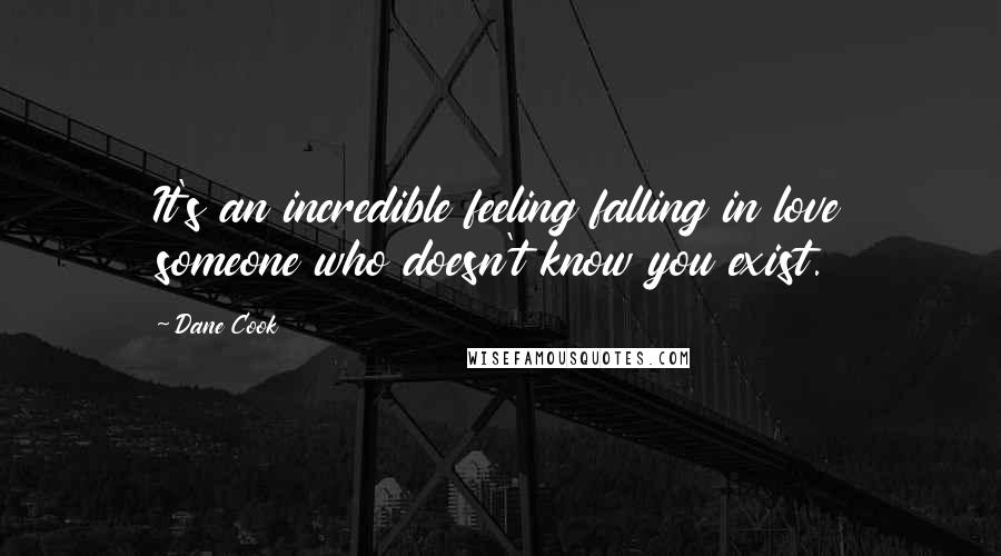 Dane Cook Quotes: It's an incredible feeling falling in love someone who doesn't know you exist.