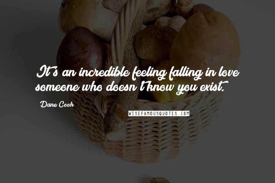 Dane Cook Quotes: It's an incredible feeling falling in love someone who doesn't know you exist.
