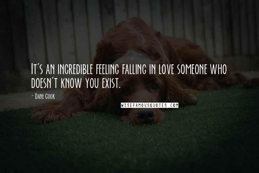 Dane Cook Quotes: It's an incredible feeling falling in love someone who doesn't know you exist.