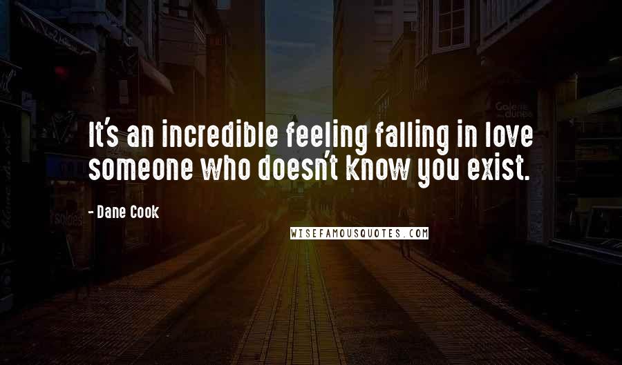 Dane Cook Quotes: It's an incredible feeling falling in love someone who doesn't know you exist.