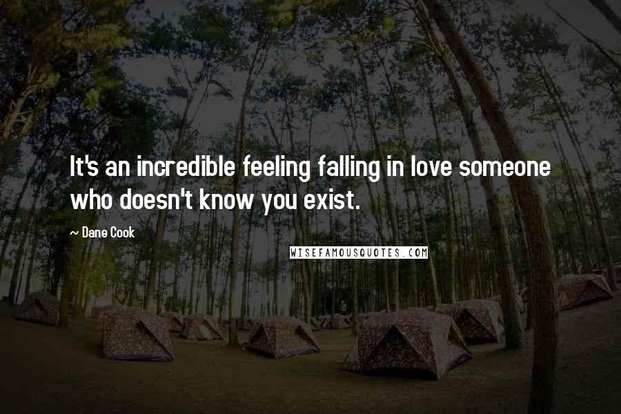 Dane Cook Quotes: It's an incredible feeling falling in love someone who doesn't know you exist.