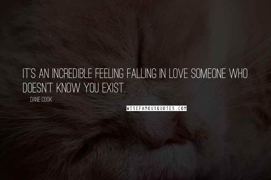 Dane Cook Quotes: It's an incredible feeling falling in love someone who doesn't know you exist.