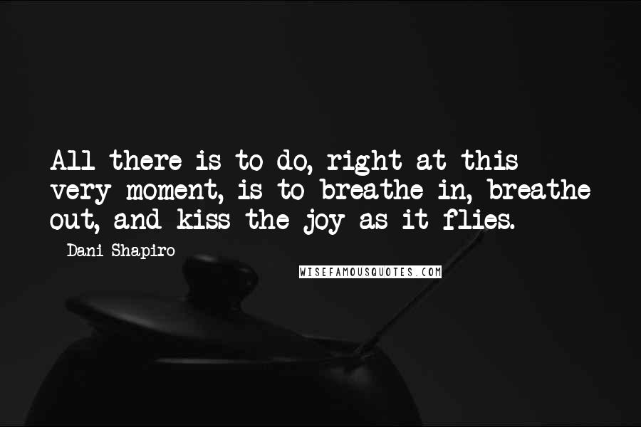 Dani Shapiro Quotes: All there is to do, right at this very moment, is to breathe in, breathe out, and kiss the joy as it flies.