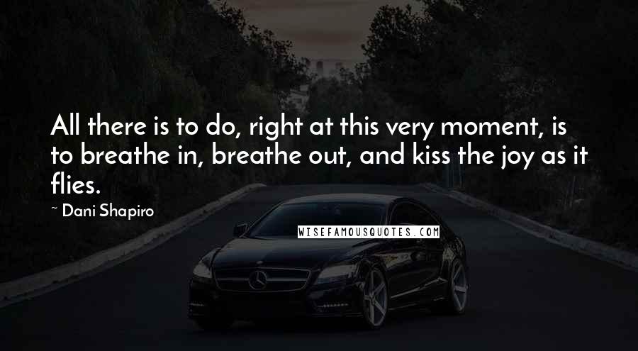 Dani Shapiro Quotes: All there is to do, right at this very moment, is to breathe in, breathe out, and kiss the joy as it flies.