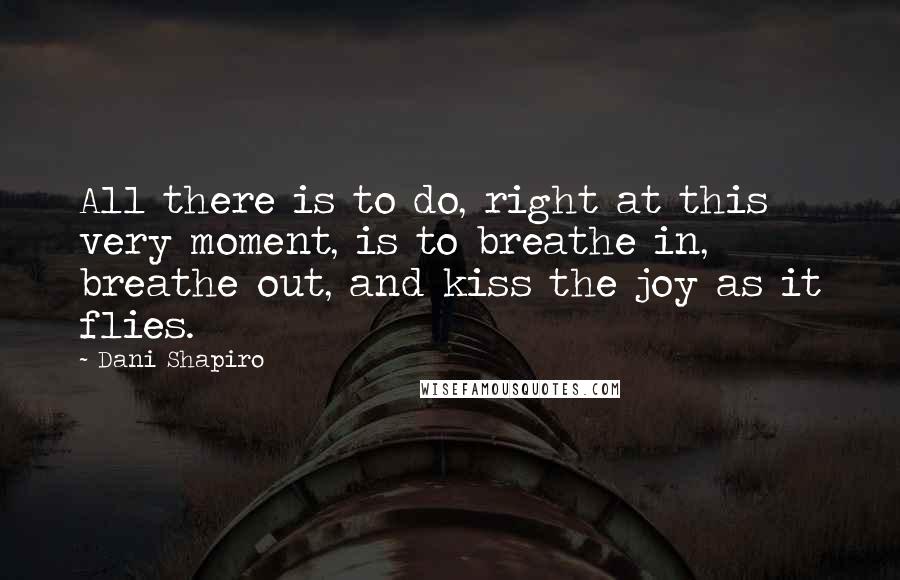 Dani Shapiro Quotes: All there is to do, right at this very moment, is to breathe in, breathe out, and kiss the joy as it flies.