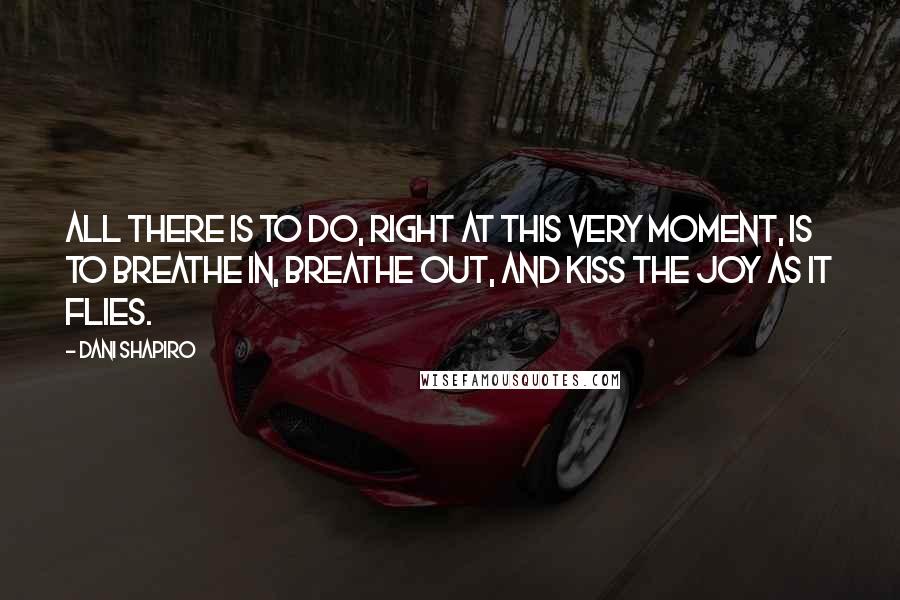 Dani Shapiro Quotes: All there is to do, right at this very moment, is to breathe in, breathe out, and kiss the joy as it flies.