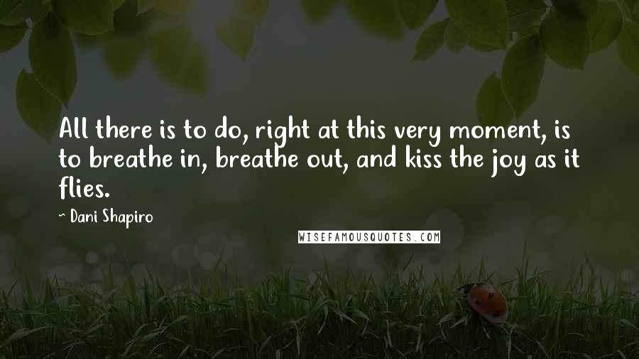 Dani Shapiro Quotes: All there is to do, right at this very moment, is to breathe in, breathe out, and kiss the joy as it flies.