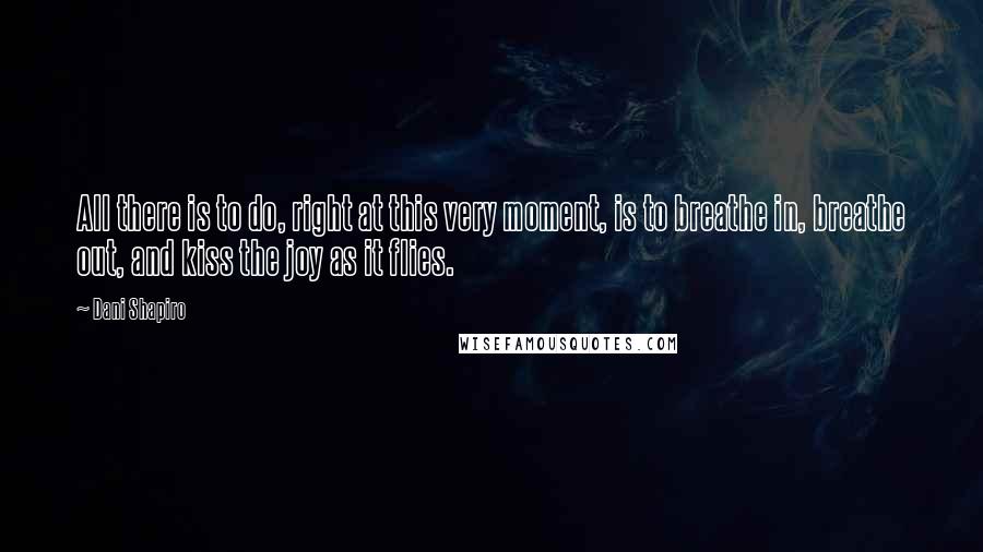 Dani Shapiro Quotes: All there is to do, right at this very moment, is to breathe in, breathe out, and kiss the joy as it flies.