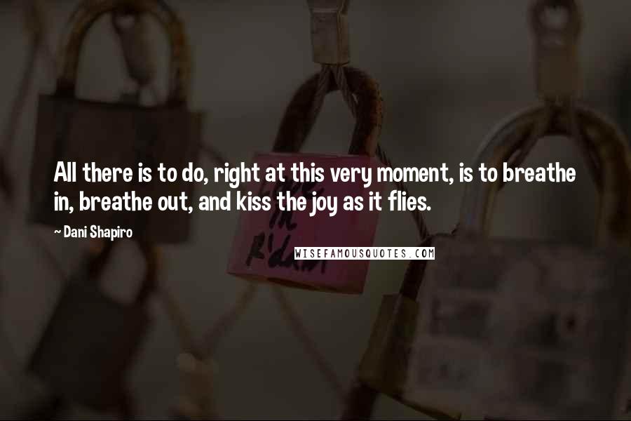 Dani Shapiro Quotes: All there is to do, right at this very moment, is to breathe in, breathe out, and kiss the joy as it flies.