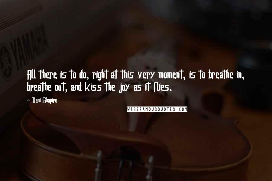 Dani Shapiro Quotes: All there is to do, right at this very moment, is to breathe in, breathe out, and kiss the joy as it flies.