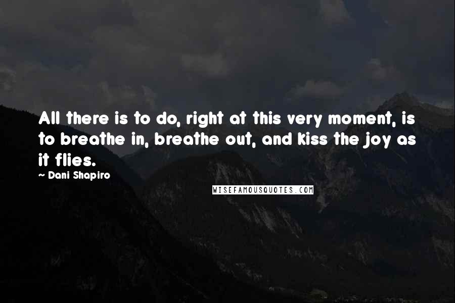 Dani Shapiro Quotes: All there is to do, right at this very moment, is to breathe in, breathe out, and kiss the joy as it flies.