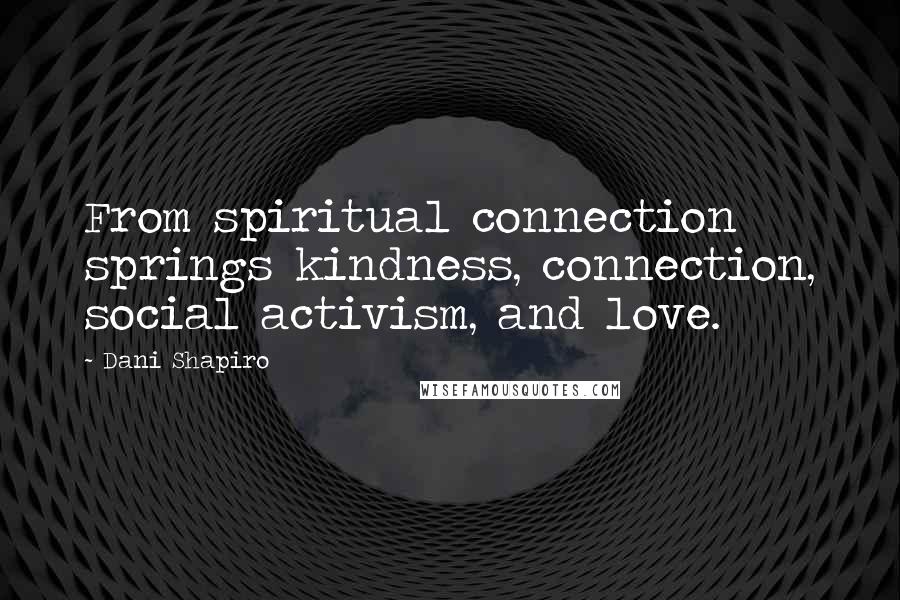 Dani Shapiro Quotes: From spiritual connection springs kindness, connection, social activism, and love.