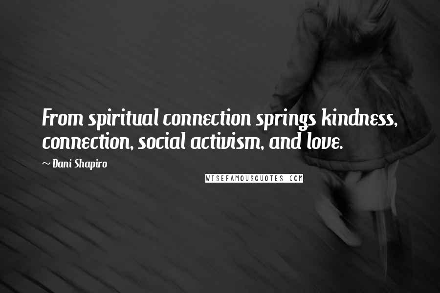 Dani Shapiro Quotes: From spiritual connection springs kindness, connection, social activism, and love.