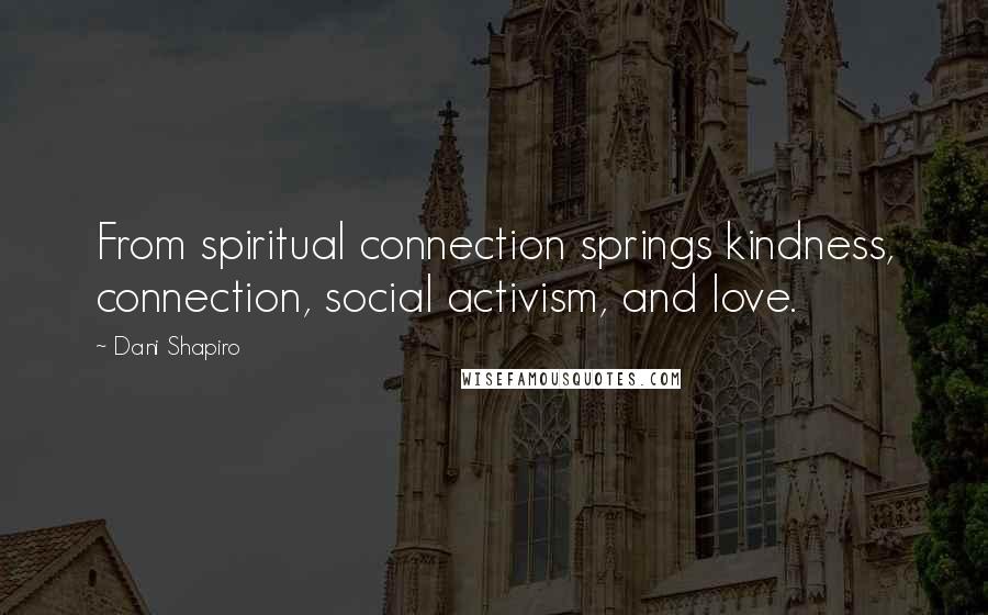 Dani Shapiro Quotes: From spiritual connection springs kindness, connection, social activism, and love.