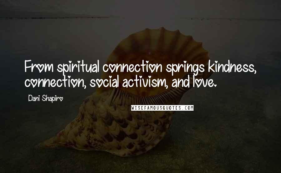 Dani Shapiro Quotes: From spiritual connection springs kindness, connection, social activism, and love.