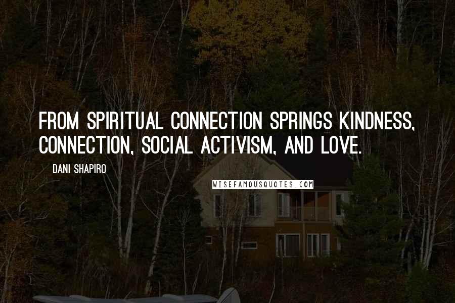 Dani Shapiro Quotes: From spiritual connection springs kindness, connection, social activism, and love.