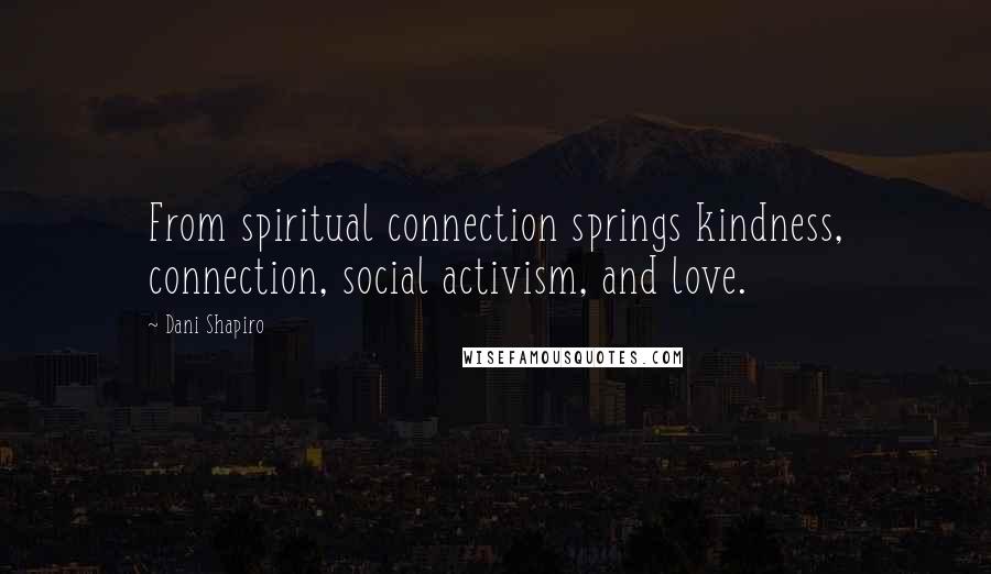 Dani Shapiro Quotes: From spiritual connection springs kindness, connection, social activism, and love.