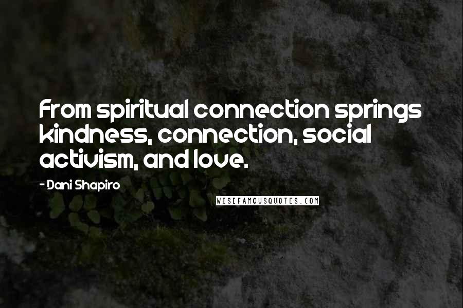 Dani Shapiro Quotes: From spiritual connection springs kindness, connection, social activism, and love.