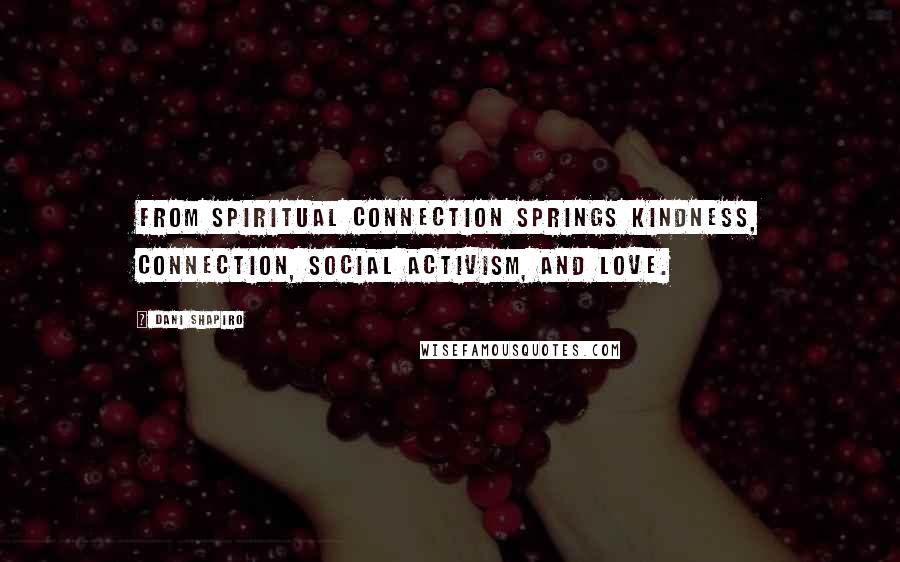 Dani Shapiro Quotes: From spiritual connection springs kindness, connection, social activism, and love.