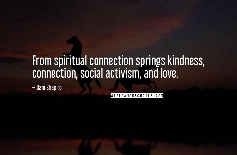 Dani Shapiro Quotes: From spiritual connection springs kindness, connection, social activism, and love.