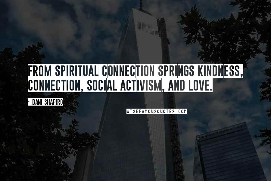 Dani Shapiro Quotes: From spiritual connection springs kindness, connection, social activism, and love.