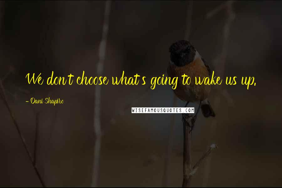 Dani Shapiro Quotes: We don't choose what's going to wake us up.