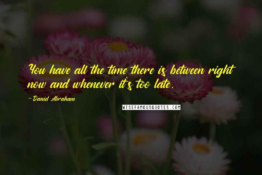 Daniel Abraham Quotes: You have all the time there is between right now and whenever it's too late.