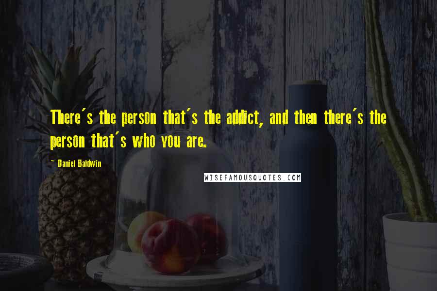 Daniel Baldwin Quotes: There's the person that's the addict, and then there's the person that's who you are.