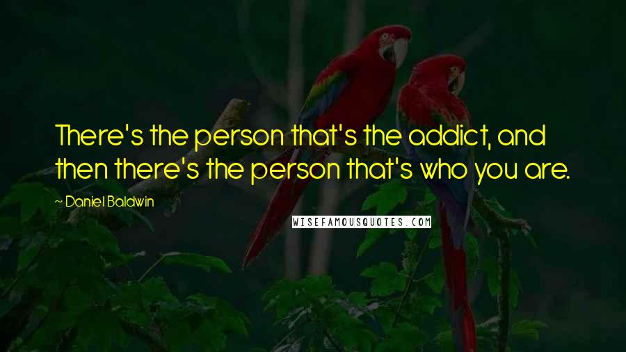 Daniel Baldwin Quotes: There's the person that's the addict, and then there's the person that's who you are.