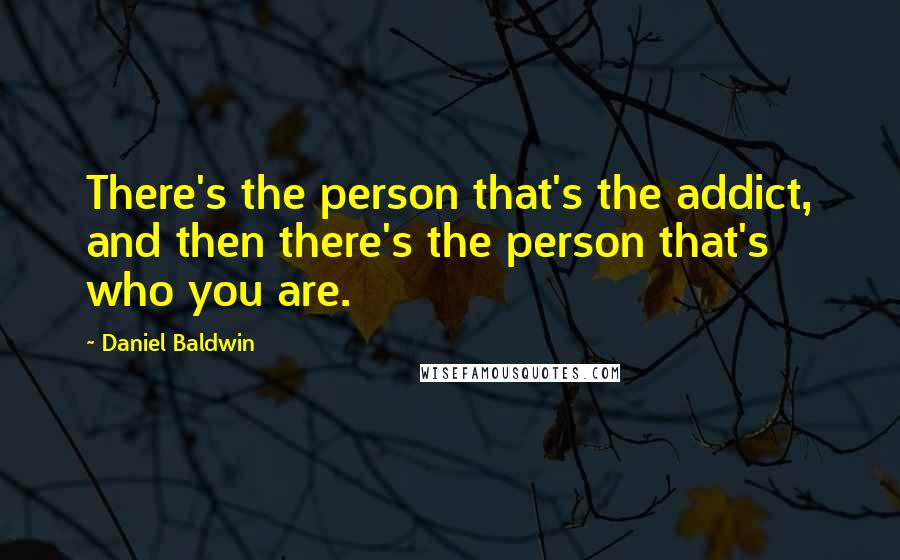 Daniel Baldwin Quotes: There's the person that's the addict, and then there's the person that's who you are.