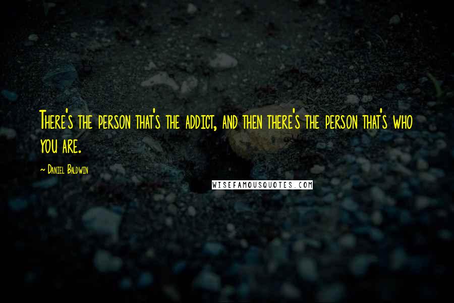 Daniel Baldwin Quotes: There's the person that's the addict, and then there's the person that's who you are.