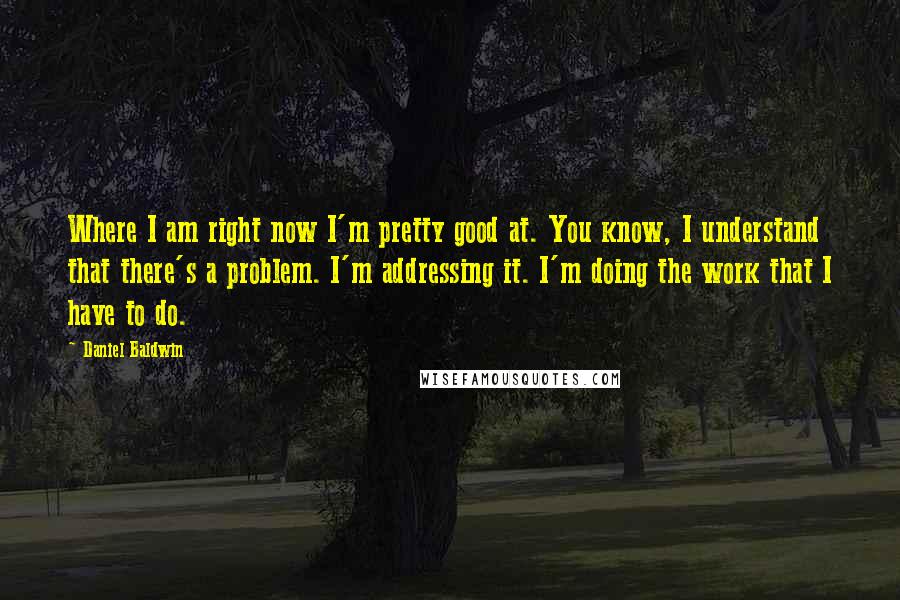 Daniel Baldwin Quotes: Where I am right now I'm pretty good at. You know, I understand that there's a problem. I'm addressing it. I'm doing the work that I have to do.