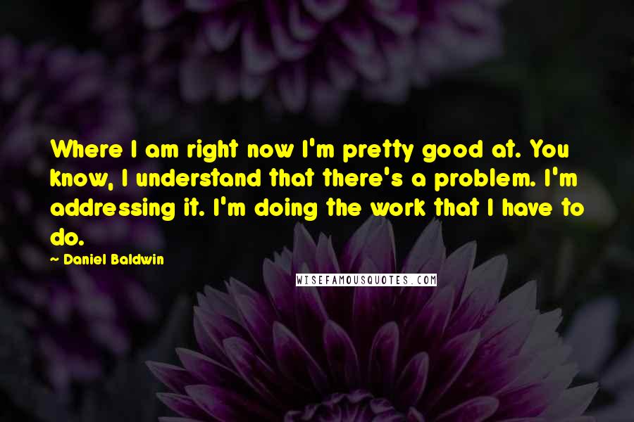 Daniel Baldwin Quotes: Where I am right now I'm pretty good at. You know, I understand that there's a problem. I'm addressing it. I'm doing the work that I have to do.