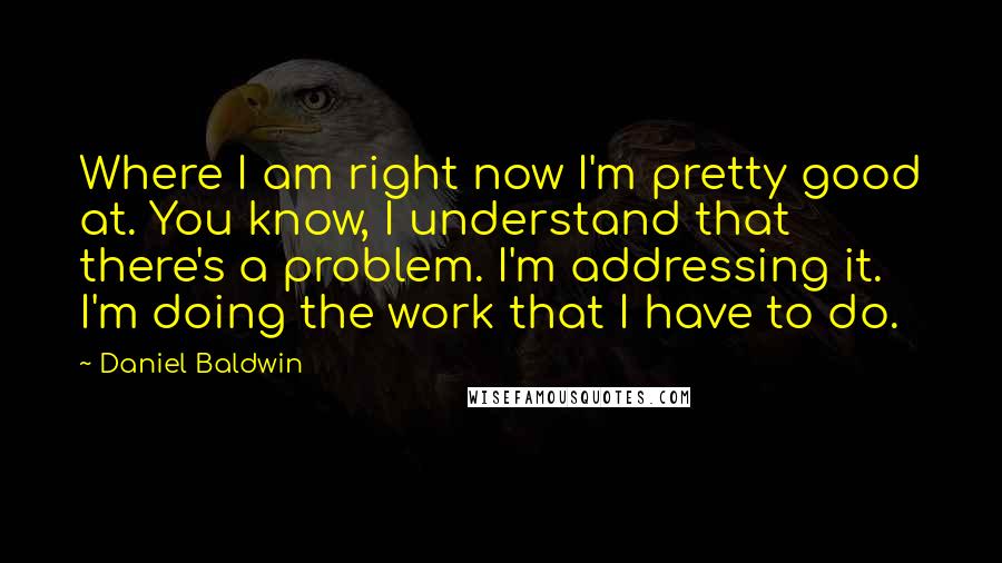 Daniel Baldwin Quotes: Where I am right now I'm pretty good at. You know, I understand that there's a problem. I'm addressing it. I'm doing the work that I have to do.