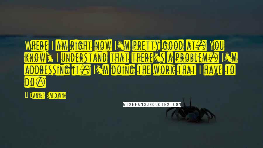 Daniel Baldwin Quotes: Where I am right now I'm pretty good at. You know, I understand that there's a problem. I'm addressing it. I'm doing the work that I have to do.