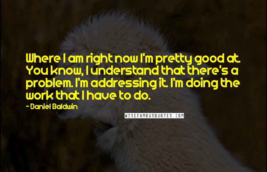 Daniel Baldwin Quotes: Where I am right now I'm pretty good at. You know, I understand that there's a problem. I'm addressing it. I'm doing the work that I have to do.