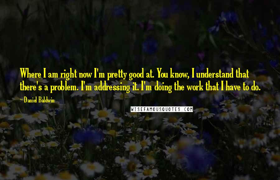 Daniel Baldwin Quotes: Where I am right now I'm pretty good at. You know, I understand that there's a problem. I'm addressing it. I'm doing the work that I have to do.