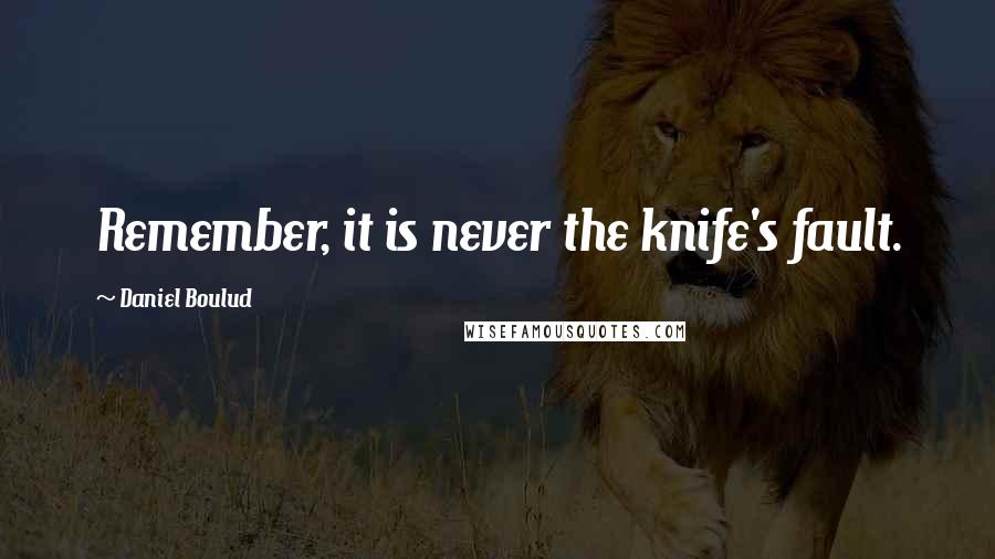 Daniel Boulud Quotes: Remember, it is never the knife's fault.