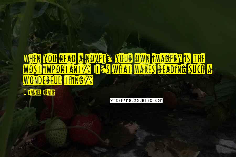 Daniel Craig Quotes: When you read a novel, your own imagery is the most important. It's what makes reading such a wonderful thing.