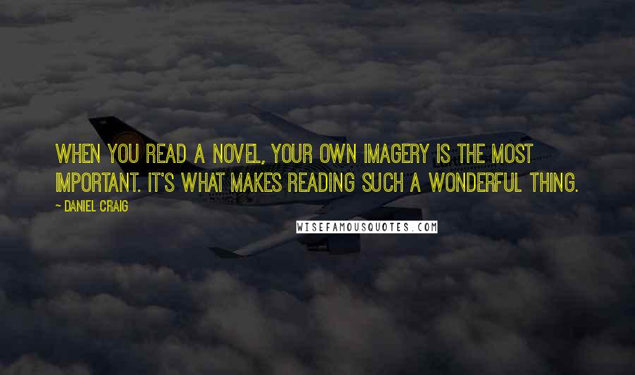 Daniel Craig Quotes: When you read a novel, your own imagery is the most important. It's what makes reading such a wonderful thing.